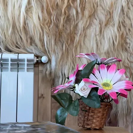 Granat Gondola Next To Lift